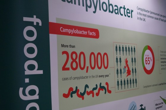 Food Standards Agency Campaign 2014 Campylobacter