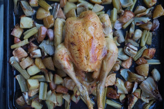 One-tray Roast Chicken with Potatoes, Fennel, Apple, Chicory, Celery and Garlic 